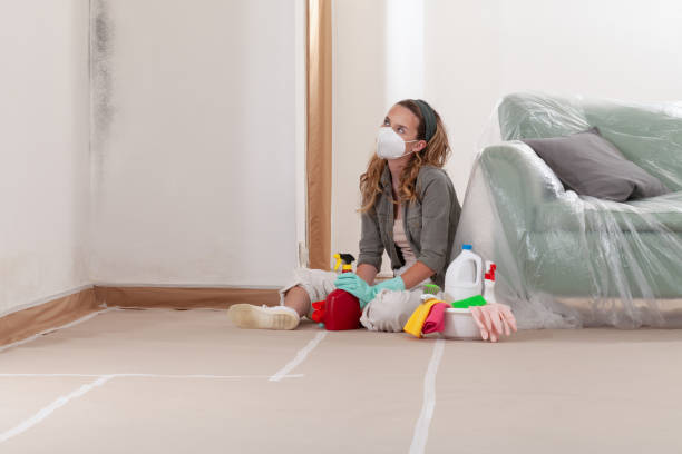 Reliable Mold Remediation contractor in Lorton, VA by WQB Mold Removal